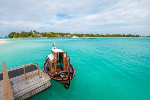 Diving in the Maldives 